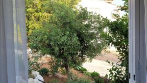 Villa Rania Loutraki