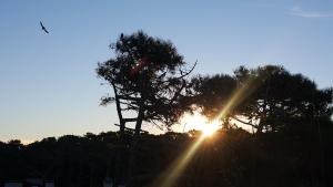 Triplex con terraza única a 50 mts del mar