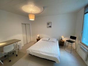 Appartements Les Cosy De Nancy - Mister charles sous les toits, Place du marche 4* : photos des chambres