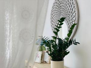 Boutique byt České Budějovice