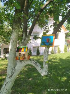 Apartments & Rooms Bojic