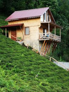 a hotel com luxury and cheap accommodation in akkaya turkey best prices for hotel apartment in akkaya and surrounding