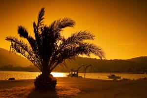 Holiday Home (139-3)