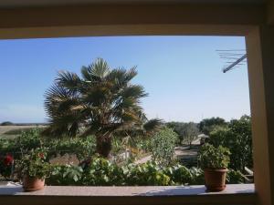 Apartment in Nin with Terrace, Air conditioning, Wi-Fi (3722-2)