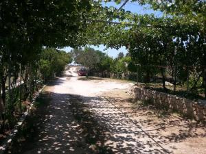 Apartment in Nin with Terrace, Air conditioning, Wi-Fi (3722-2)