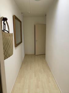 Apartments Zaanse Schans and Amsterdam