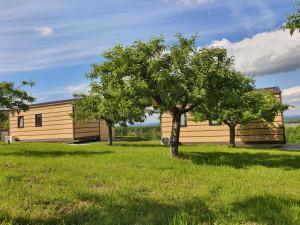 VINEA PANONIKA wine & mind retreat