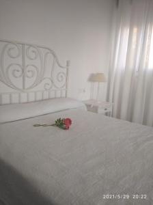 Apartamentos Sanlúcar Beach 2 y 3