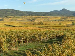 gîtes au domaine Greiner
