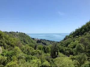 Анухва - Tskvara