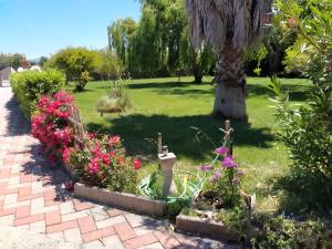 Il Giardino delle Rose A img26