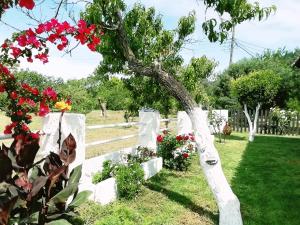 Villa Marietta Corfu Greece