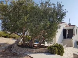 Apartment Zečevo - Zečevo