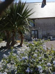 Maisons de vacances Les Mouettes : photos des chambres