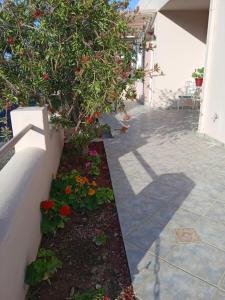 Andros Lighthouse Apartments Andros Greece