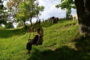 Leopold der Lamahütewagen