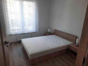 Apartament za świerkami