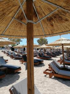 Iliahtida Evia Greece