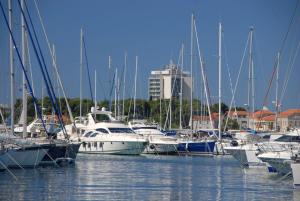 Apartment Plava Plaza (4382-2)