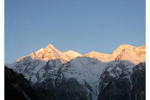 Alpia 26 - Zwei Zimmerwohnung in traditionellem Walliser Haus