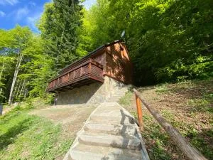 察塔祖札纳宾馆 - Prislop