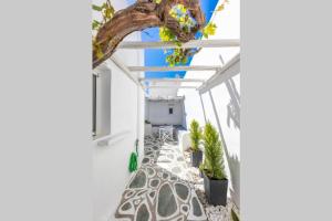 Casa Marpissa a holiday home on Paros Island for 5 Paros Greece