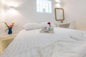 Casa Marpissa a holiday home on Paros Island for 5 Paros Greece