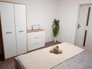 Apartament Wiejska Sielanka