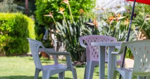 Casa Vacanze " IS MERIS " img24