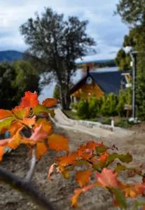 麦特纳海岸小屋 - 佩休尼亚镇