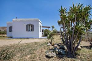 Lilium House Tinos Greece