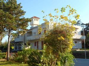 Apartment in Rosolina Mare 24935