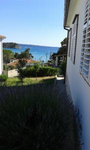 Apartment in Banjol with sea view, terrace, air conditioning, Wi-Fi (3803-1)