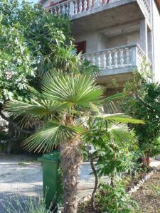 Apartment in Sukošan with sea view, terrace, Wi-Fi (4813-2)