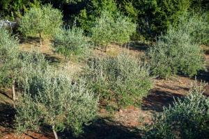 Holiday house 4770-1 for 8 pers. in Vrbnik