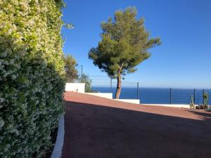 Appartements Vue mer.Tranquilite.Cap d'Ail a 10 mn de MONACO : photos des chambres