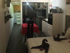 Appartements Residence Les Alizes ''Sauna Jacuzzi Piscine en plein centre ville