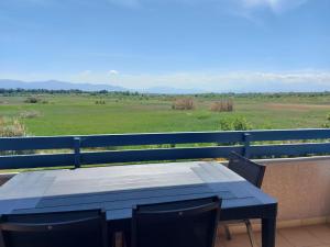 Appartements Magnifique et Moderne T2 avec vue imprenable sur les Alberes Turquoise 134 : Appartement 1 Chambre