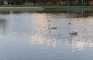 Ośrodek Wypoczynkowy Koala