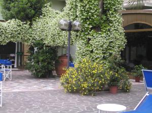 HG Hotel Cappelli