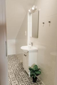 Daszówka Bieszczady