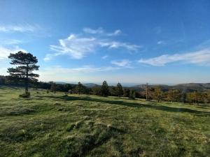 Apartman Kaćun - Divčibare