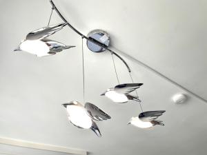 Entzückende Garconniere im Herzen Spittals