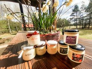 Przytulisko Stara Kiszewa