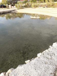 Apartment in Kustici with sea view, terrace, air conditioning, WiFi (3597-2)