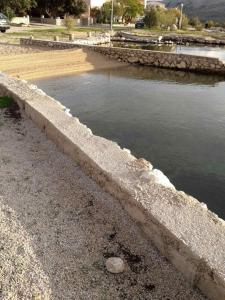 Apartment in Kustici with sea view, terrace, air conditioning, WiFi (3597-2) 