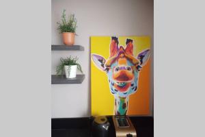 Argyle House, 10 minute walk from city centre