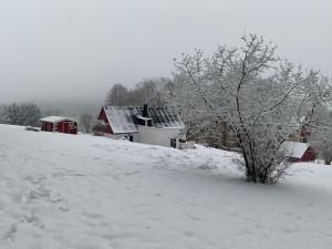 Auszeit im Waldidyll