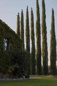 Maisons d'hotes Mas des Songes : photos des chambres