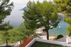 Apartment in Brela with sea view, terrace, air conditioning, Wi-Fi (3524-2) 